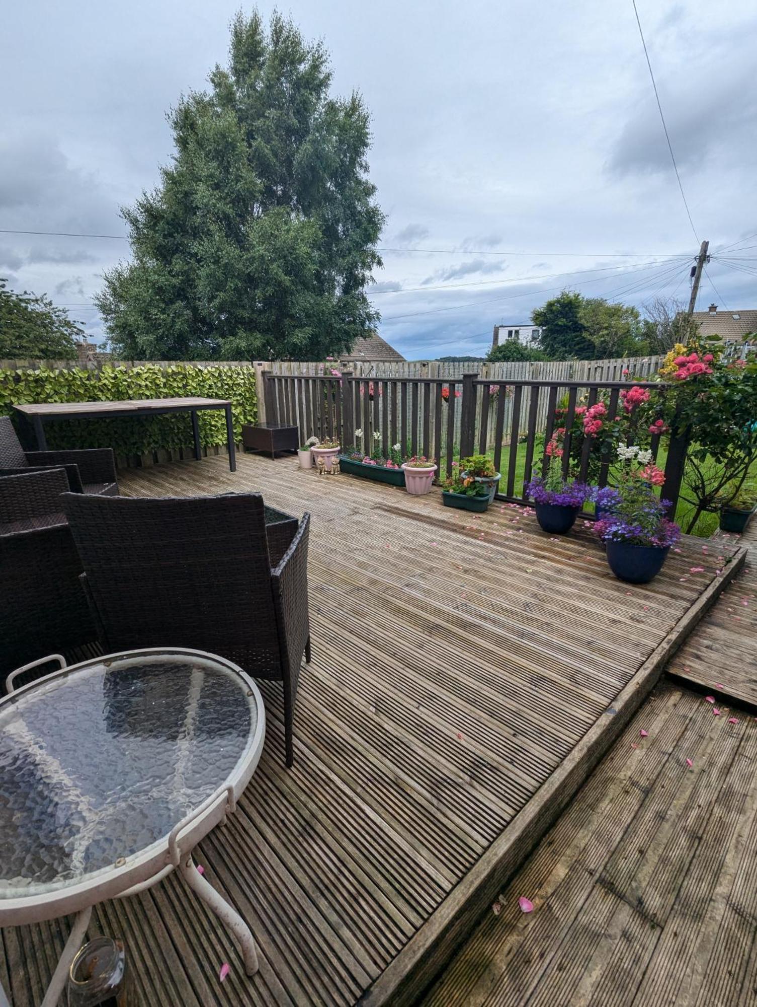 Single Room With Beautiful Garden Edimburgo Exterior foto